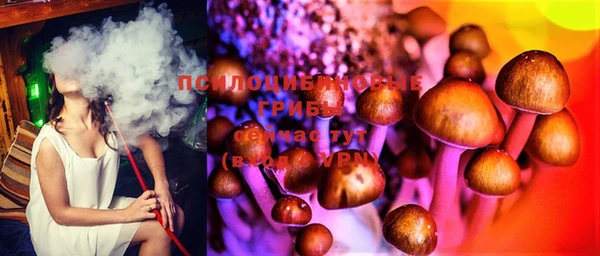 крисы Бронницы