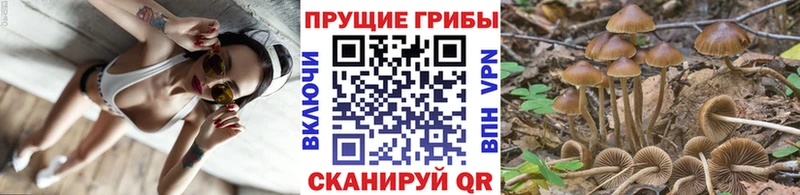 хочу   нарко площадка телеграм  Псилоцибиновые грибы мицелий  Дюртюли 