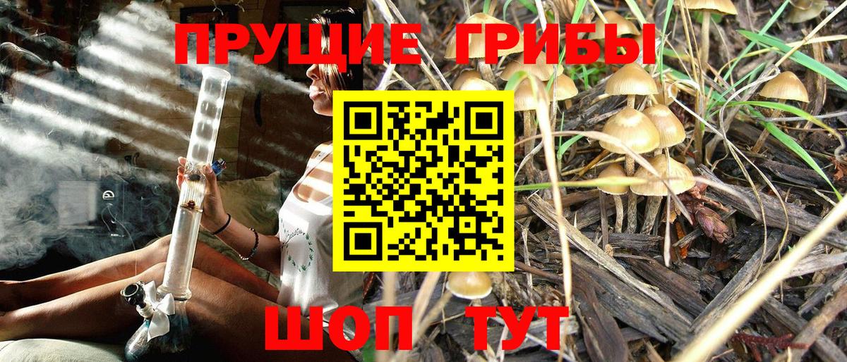 Псилоцибиновые грибы MAGIC MUSHROOMS  Галлюциногенные грибы прущие грибы  Дюртюли  Вход с VPN 
